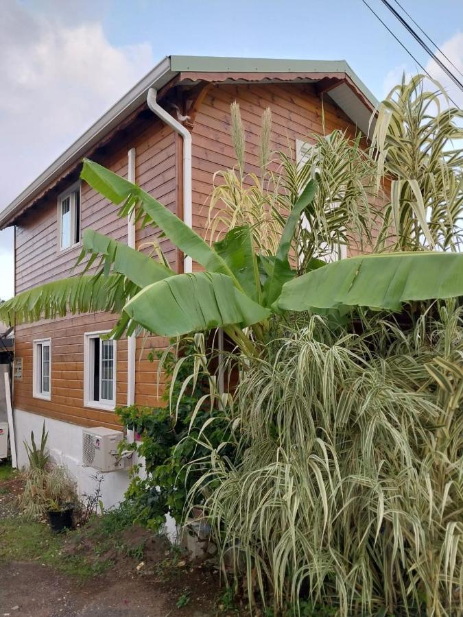 Le Cosy Bungalow de Lili / 5min de l'aéroport Les Abymes Extérieur photo